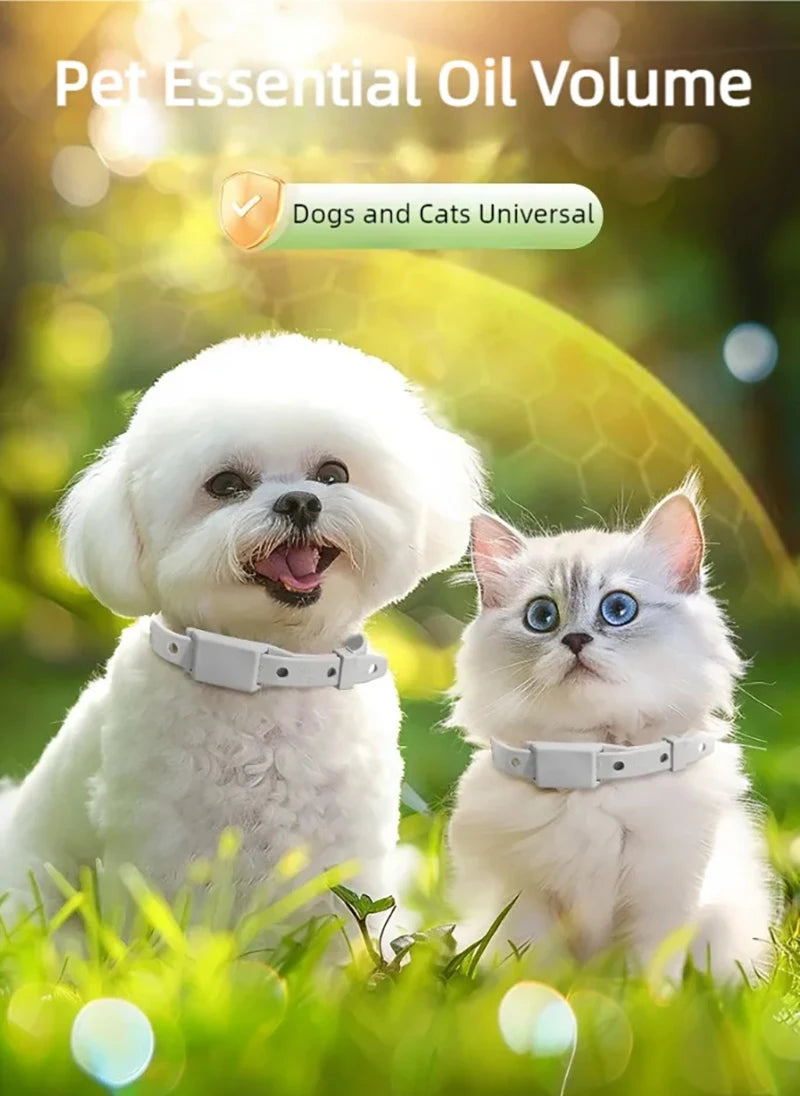 Pet essential oil collar, washable, cat collar with adjustable buckle, dog collar, pet accessory, sturdy and durable, cat collar