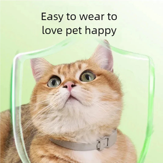 Pet essential oil collar, washable, cat collar with adjustable buckle, dog collar, pet accessory, sturdy and durable, cat collar
