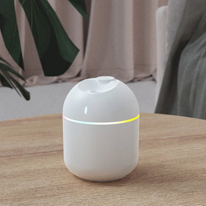 Air Humidifier Cool Mist Aroma Diffuser with LED Night Light -270ML